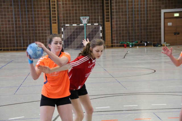 2017_01_08 Landesliga Frauen u. J19